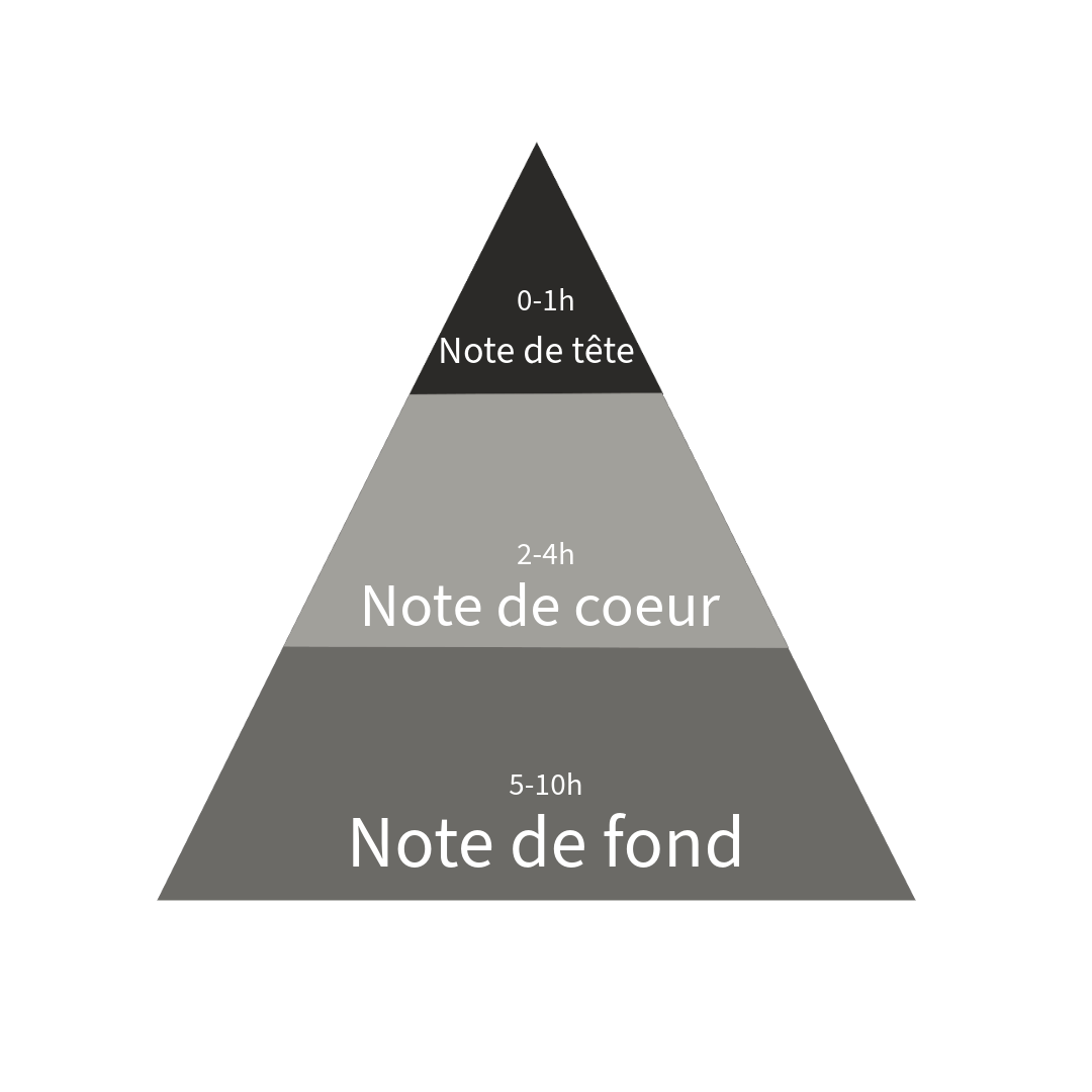 pyramides des notes